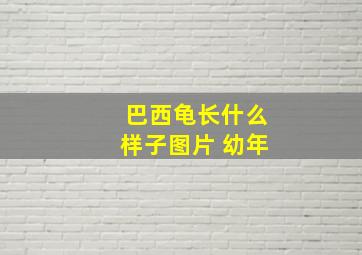 巴西龟长什么样子图片 幼年